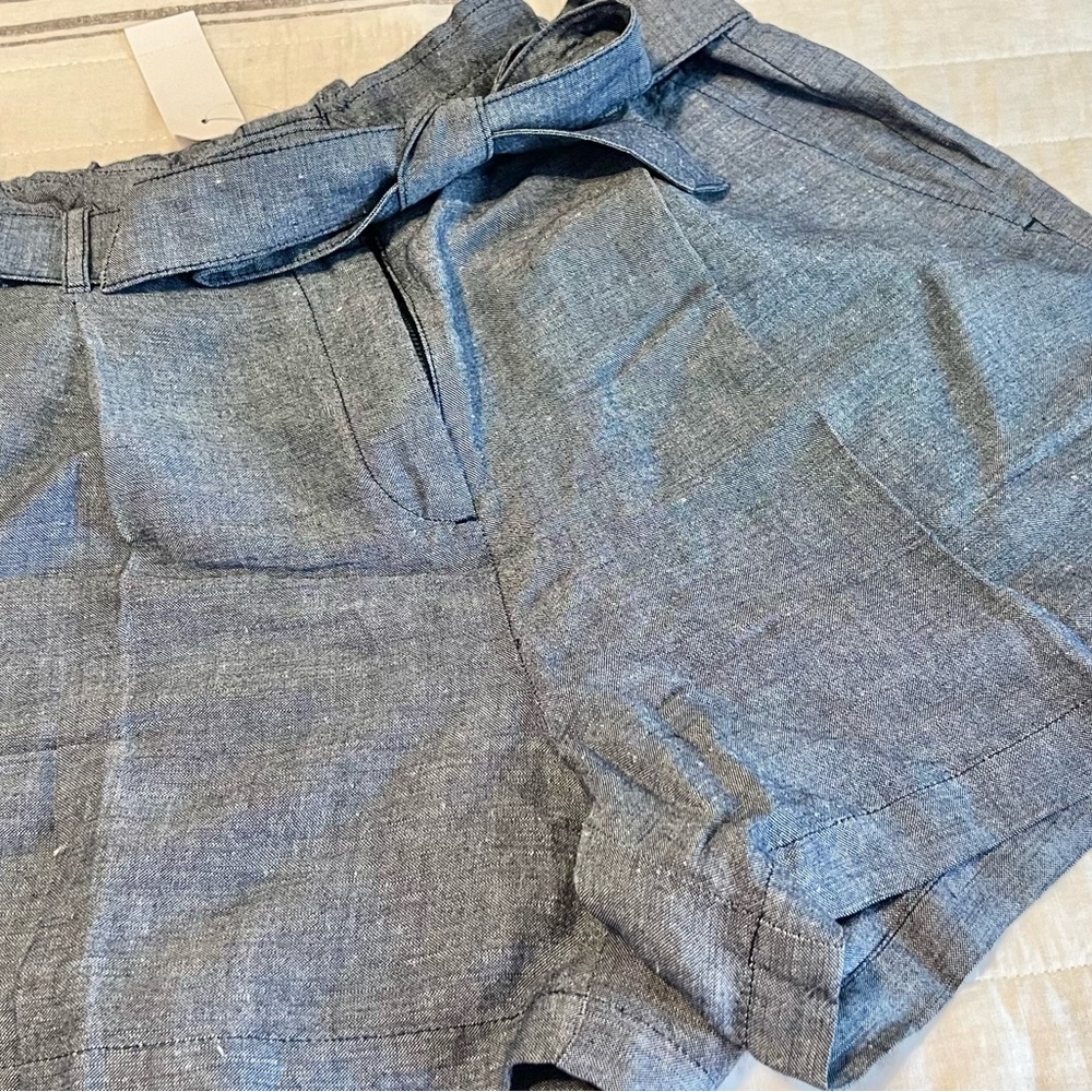 Ann Taylor Loft Shorts